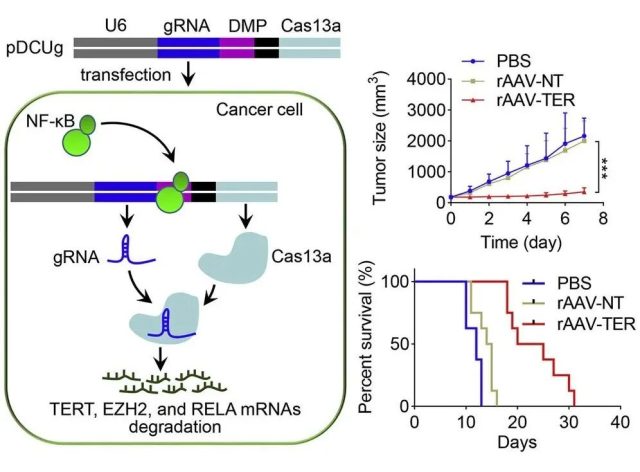41586_2022_4428_Fig1_HTML.webp.jpg 41586_2022_4428_Fig1_HTML.webp.jpg
