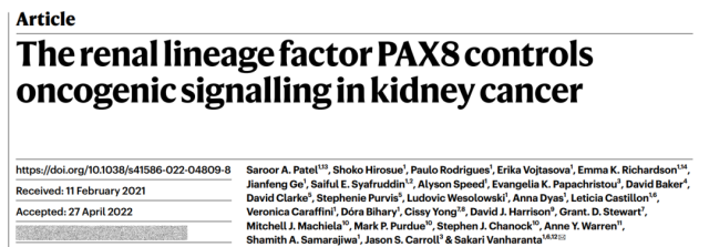 How do genetic mutations cause tissue-specific cancers?