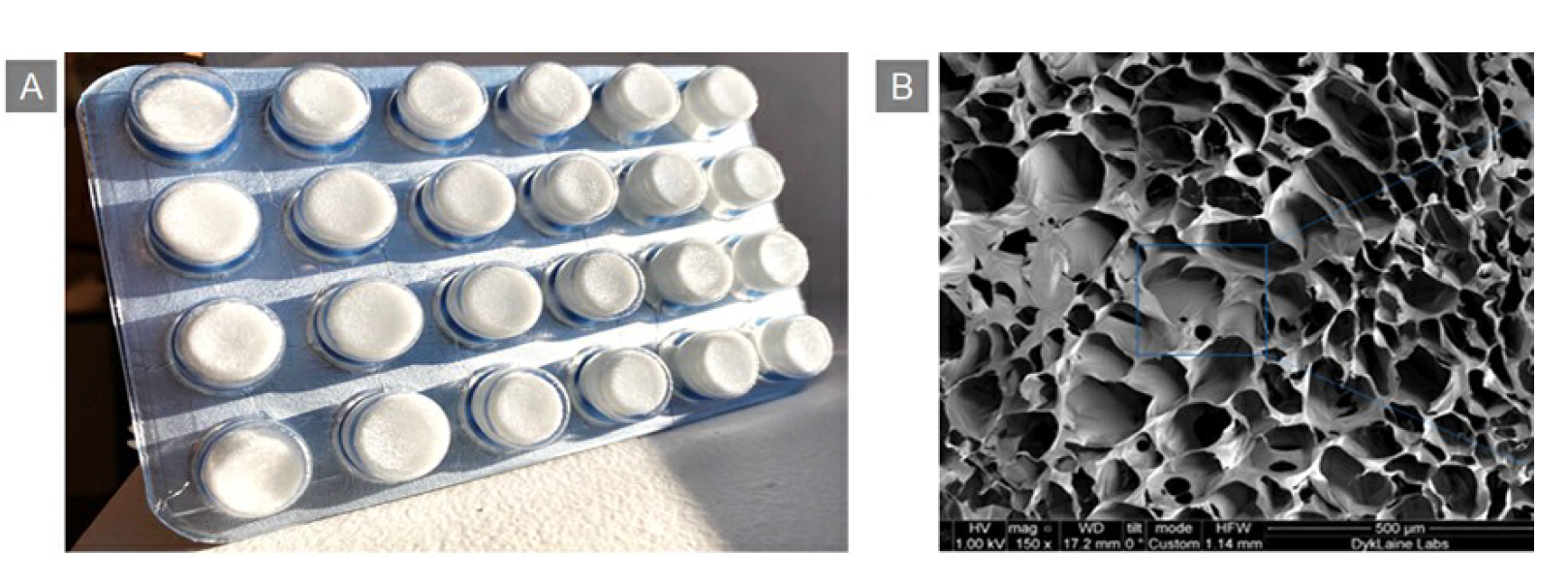 image005.png image005.png