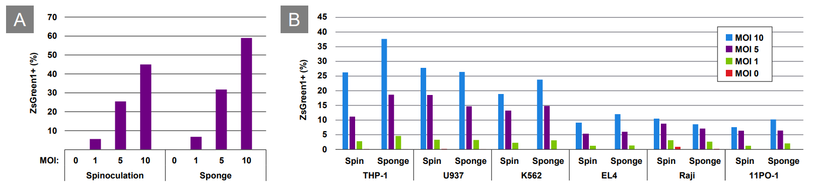 image007.png image007.png