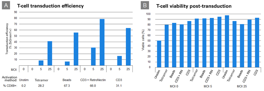 image009.jpg image009.jpg
