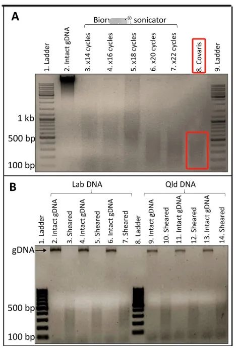 image003.jpg image003.jpg