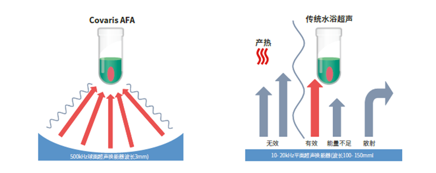 image007.png image007.png