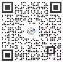 image009.png image009.png