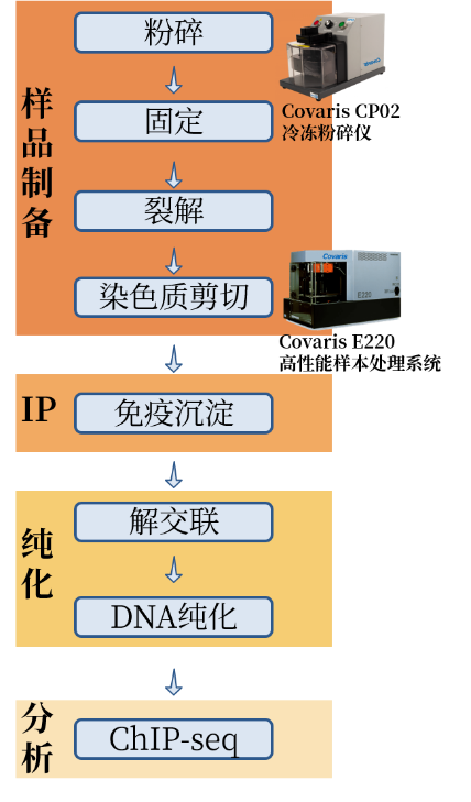 image005.png