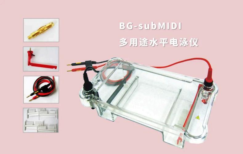 image003.jpg image003.jpg