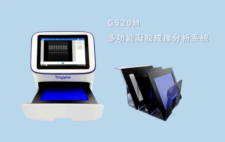 image030.jpg image030.jpg