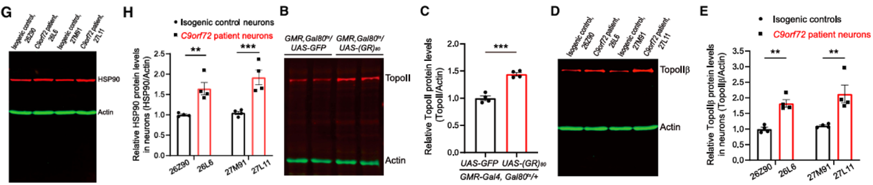 image003.png image003.png