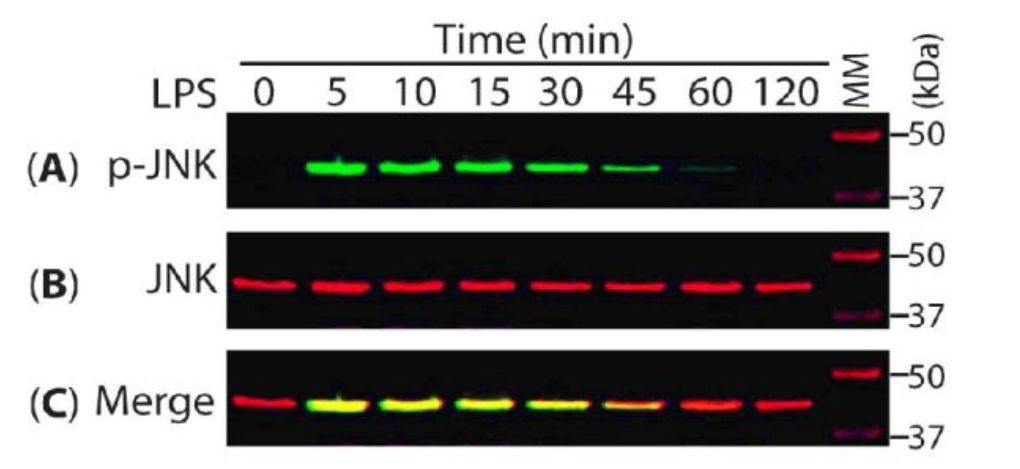 image006.png image006.png