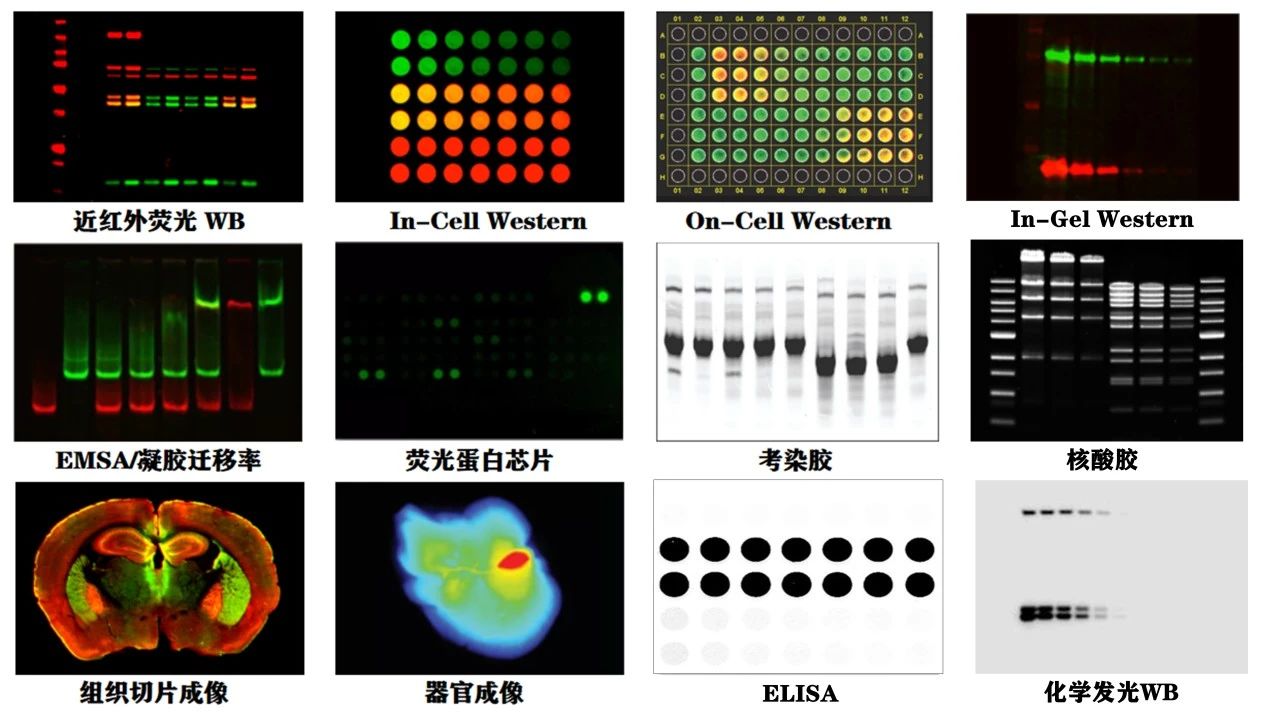 image014.jpg image014.jpg
