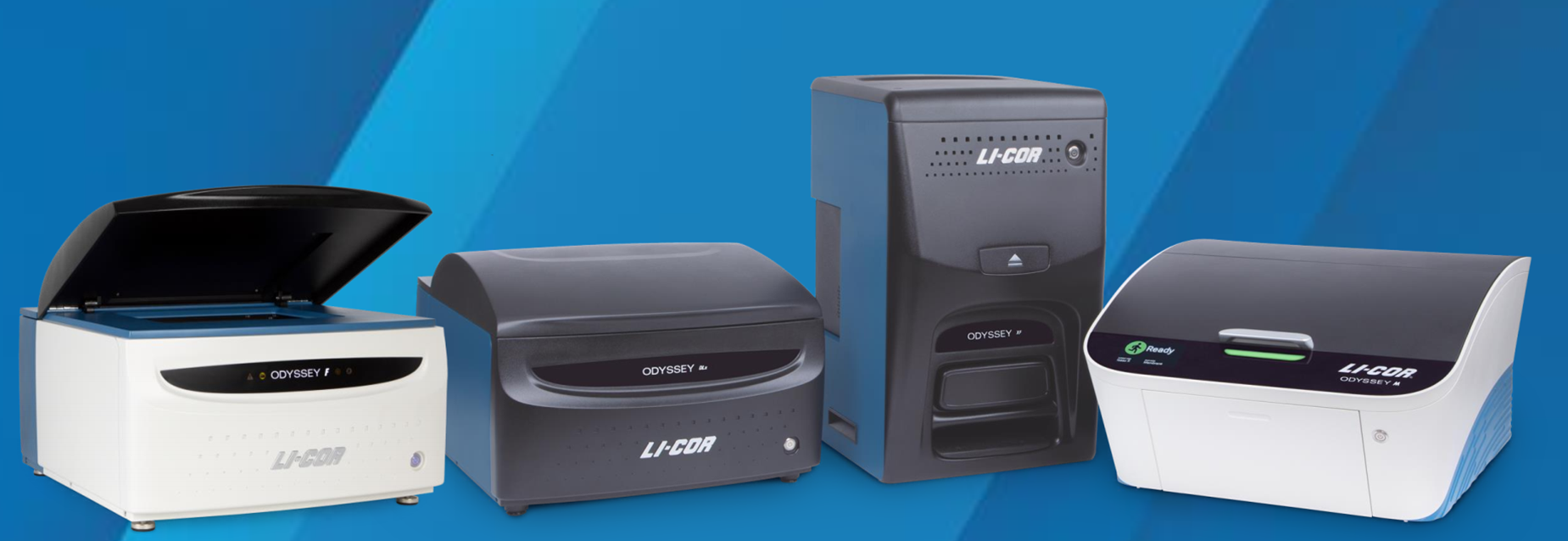 image016.png image016.png