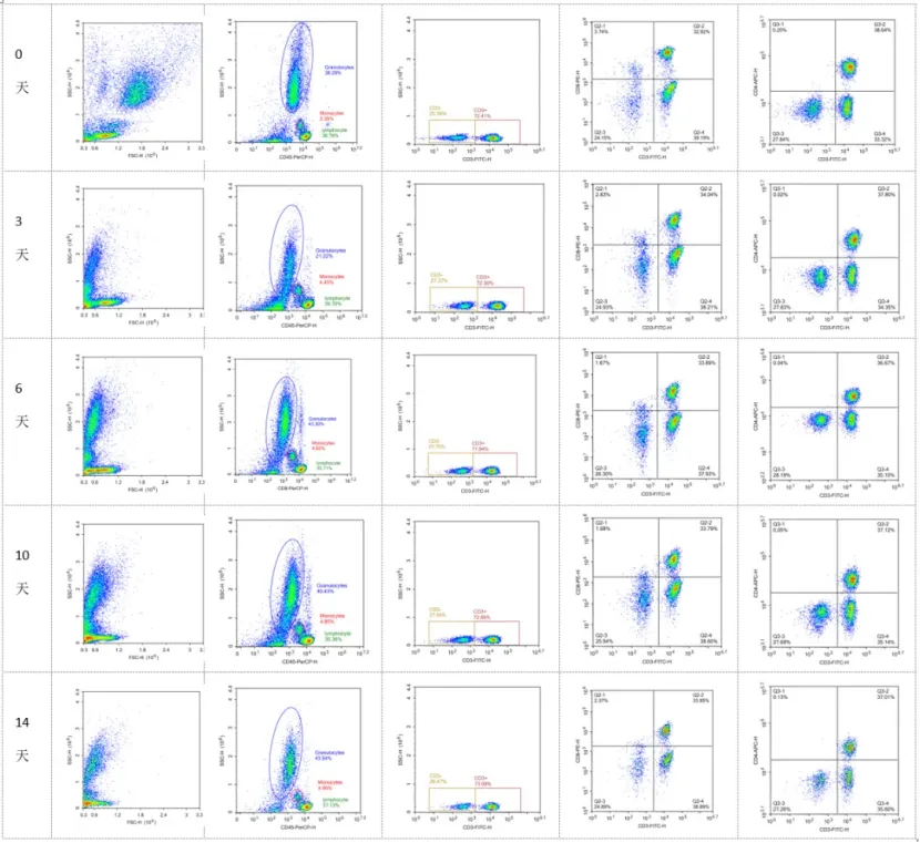 image005.png image005.png