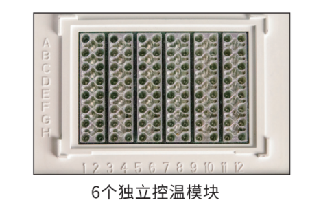 image005.png image005.png