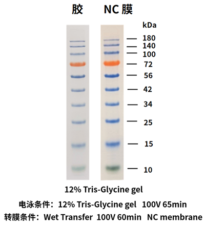 image008.png image008.png