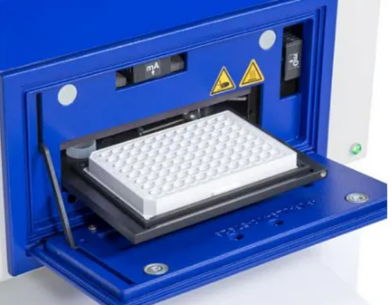 image003.png image003.png