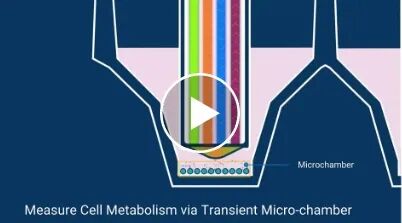 image003.jpg image003.jpg