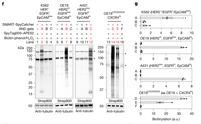image004.png image004.png