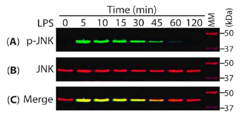 image030.png image030.png