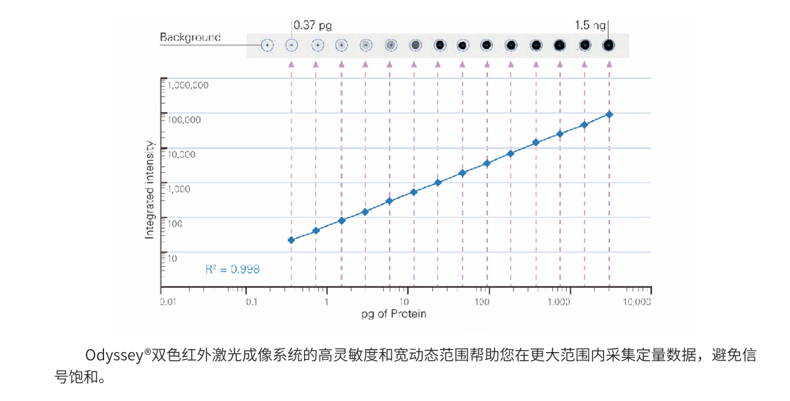 image034.png image034.png