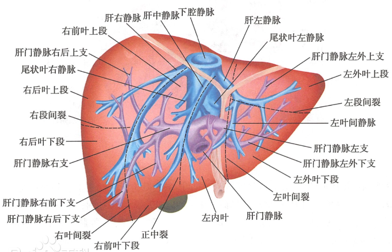 image001.png image001.png