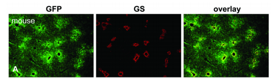 image003.png image003.png