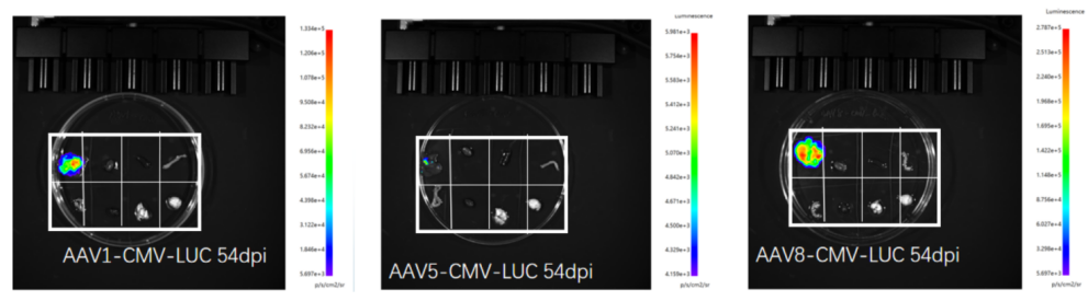image005.png image005.png
