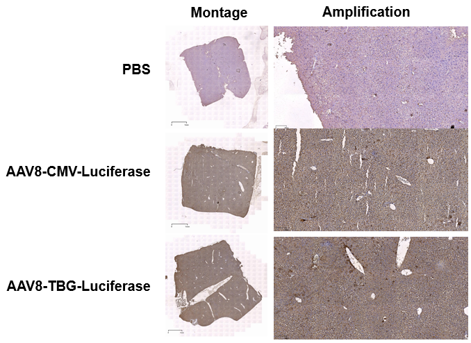 image007.png image007.png