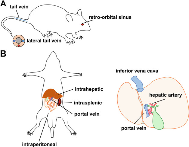 image009.png image009.png