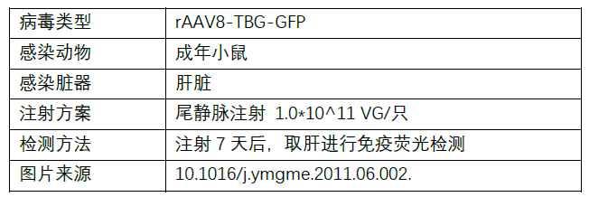 image004.png image004.png