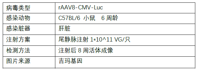 image006.png image006.png