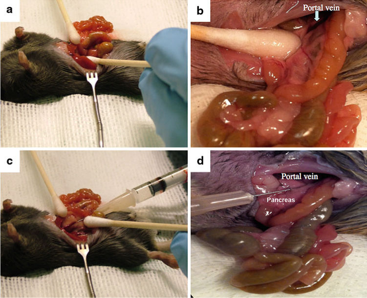 image011.png image011.png