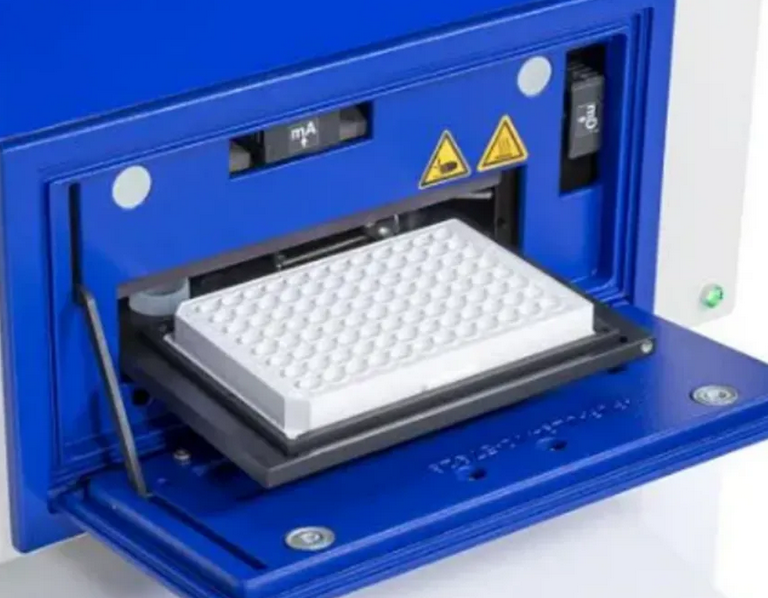 image003.png image003.png