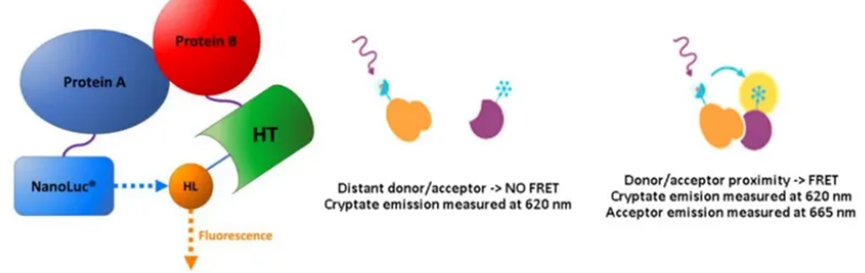 image011.png image011.png