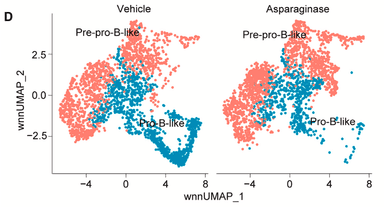 image002.png image002.png