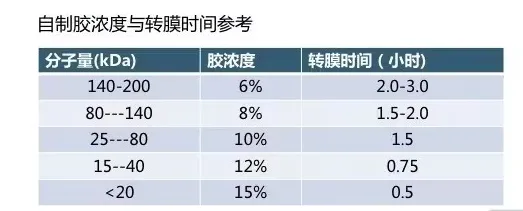 image007.png image007.png