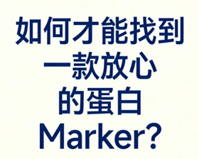 image009.png image009.png