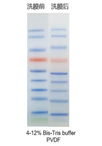 image016.png image016.png