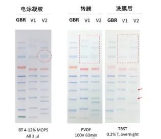 image018.png image018.png