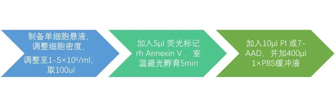 image007.jpg image007.jpg