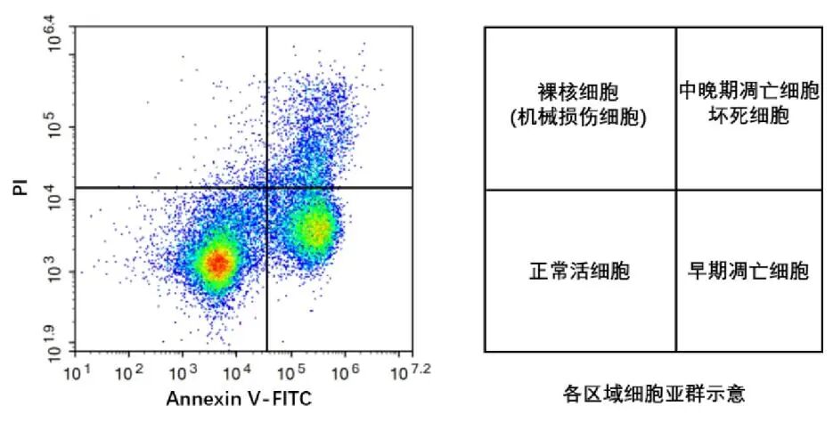 image009.jpg image009.jpg