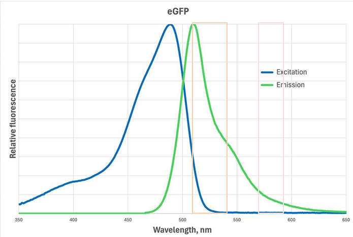 image011.png image011.png