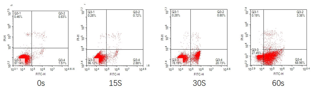 image013.png image013.png