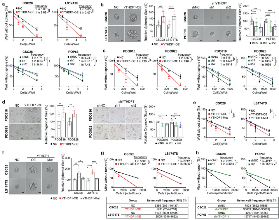 image001.png image001.png