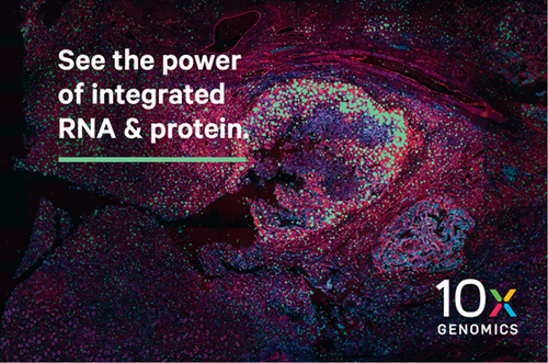 1 Xenium Protein.png