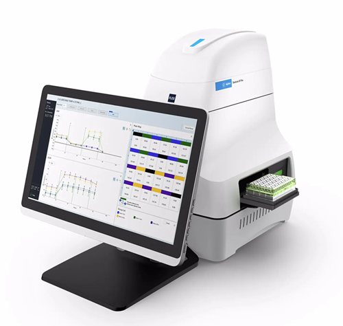 23 Seahorse Flex.png