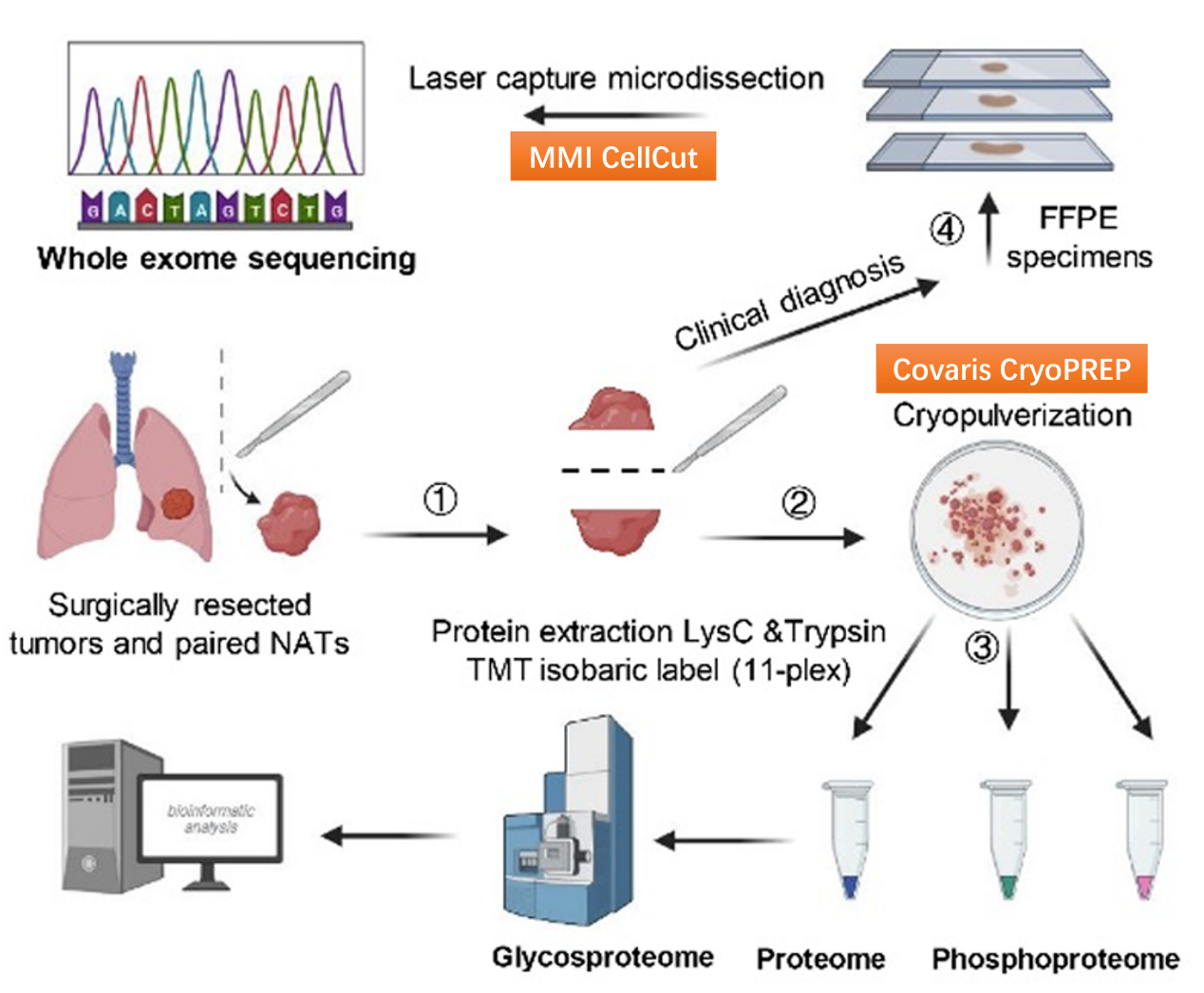 image003.png image003.png