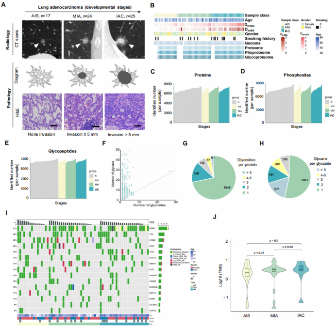 image005.png image005.png