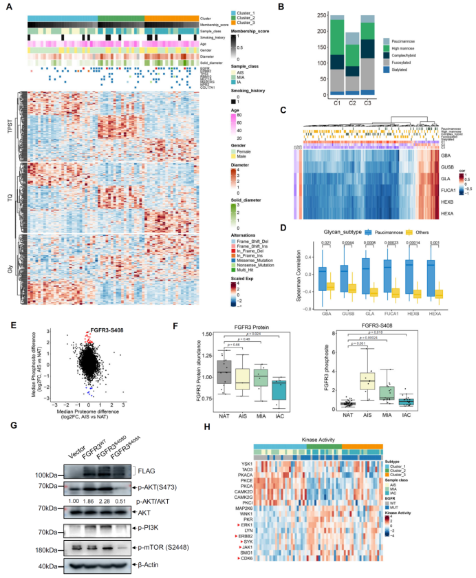 image007.png image007.png