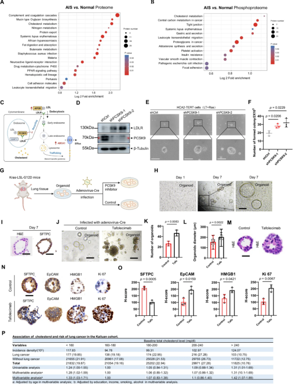 image009.png image009.png