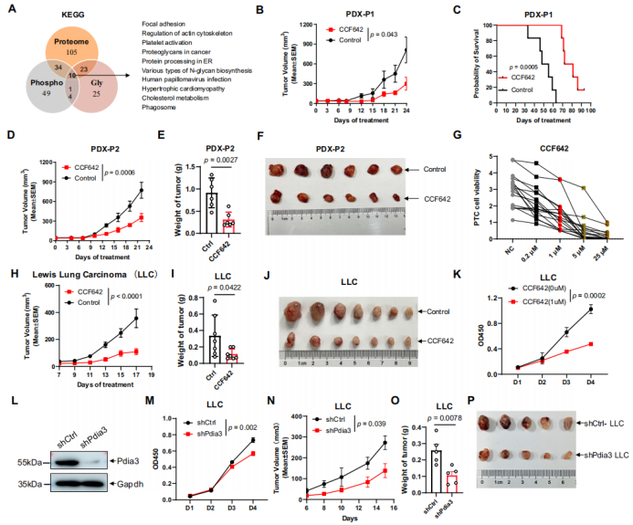 image012.png image012.png